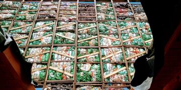 Casas sustentables en Tandil: cómo es el emprendimiento que construye con ladrillos de plástico