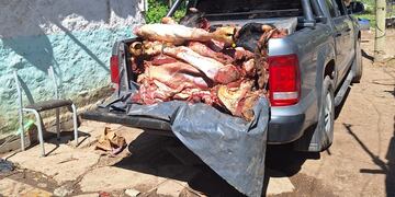 Los animales secuestrados en Frontera