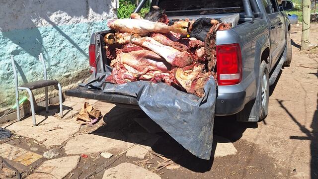 Los animales secuestrados en Frontera