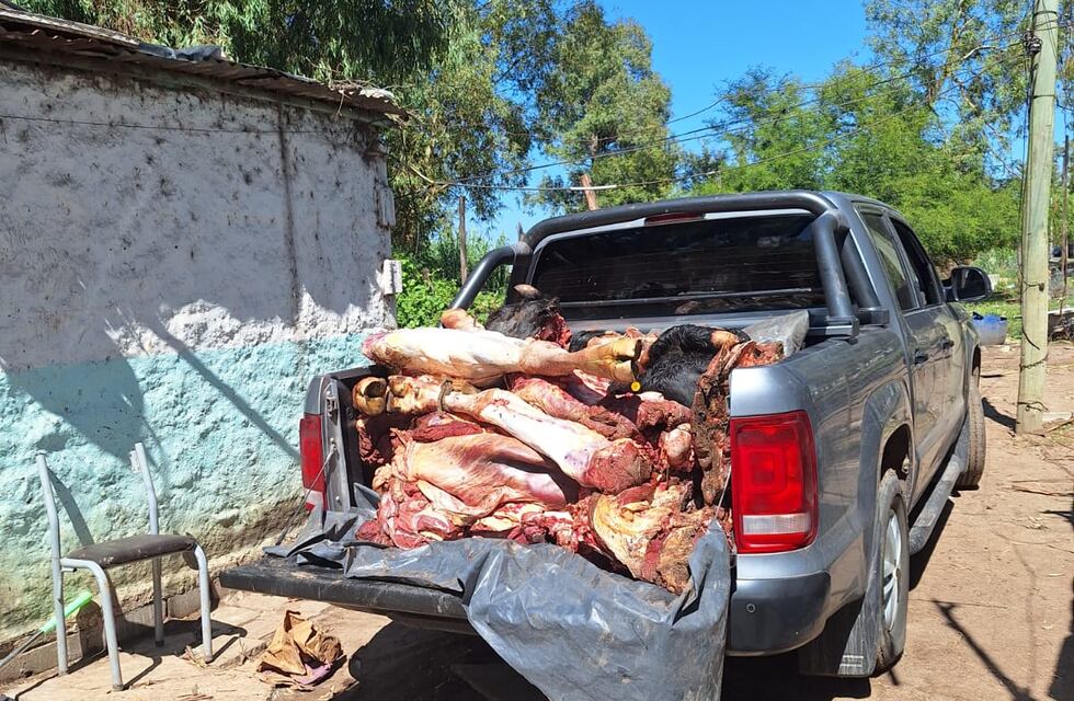 Frontera: fueron a derribar un bunker por narcotráfico y secuestraron 700 kg. de carne vacuna de animales robados