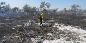 El Consejo Provincial del Ambiente promueve la participación y la integralidad de las políticas ambientales como preocupación del Estado.