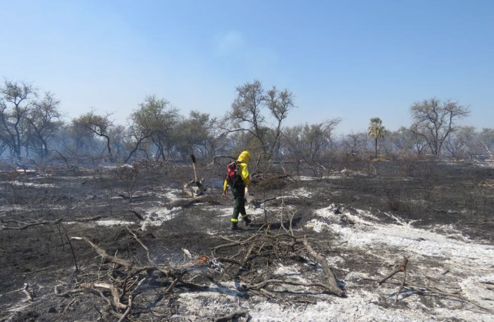 Chaco avanza en estrategias para combatir el cambio climático