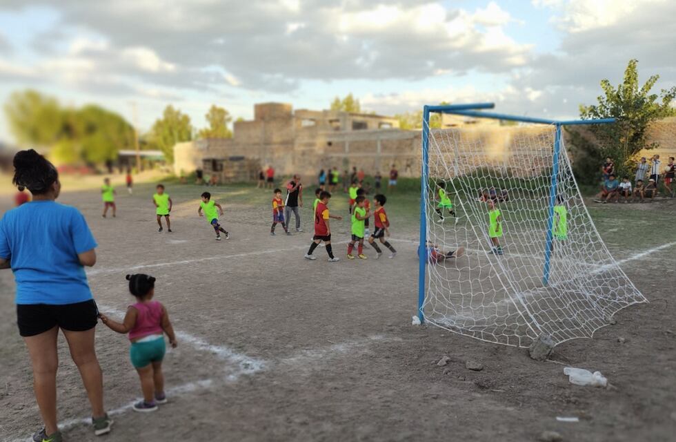 Vuelven los potreros a Palmira