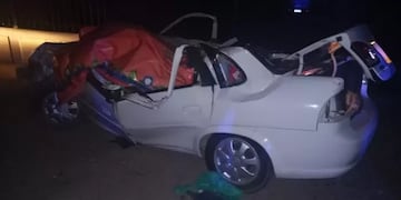 Daniel Molina murió en Maipú aplastado por un árbol cuando circulaba por calle Don Bosco.