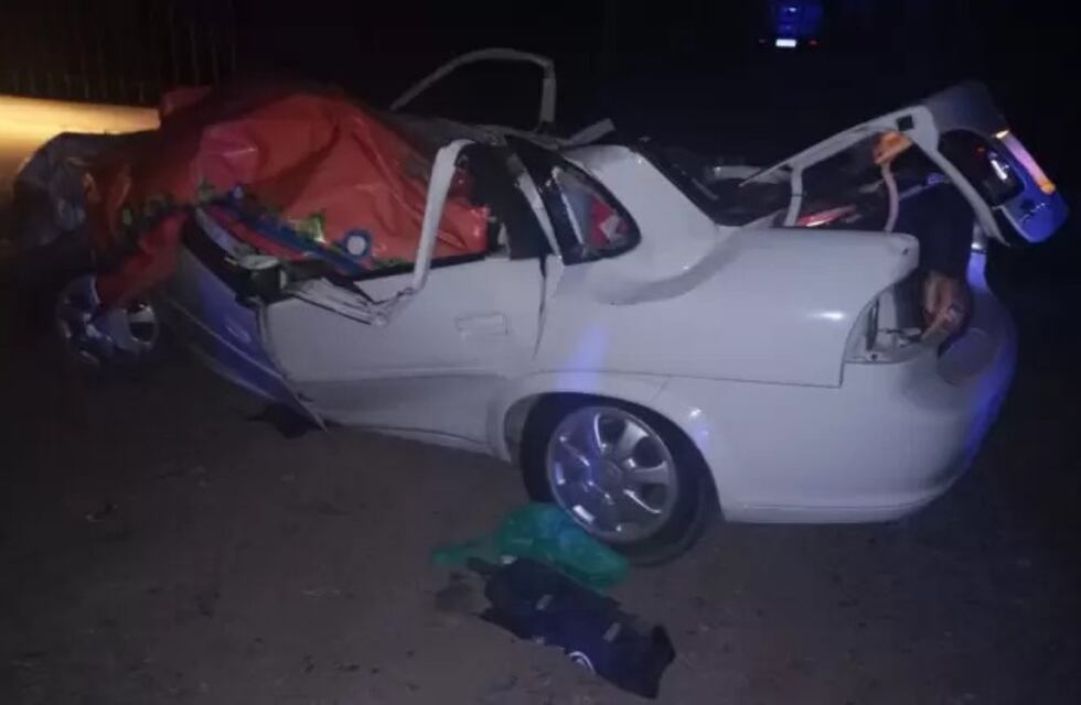 Destino fatal: el fuerte viento en Mendoza tiró un enorme árbol sobre un auto y mató al conductor