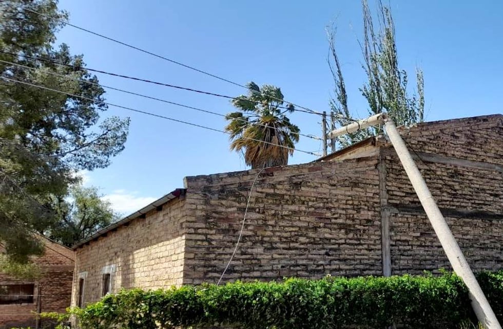 El viento en General Alvear dejó a su paso gran cantidad de árboles y redes del servicio eléctrico por el piso