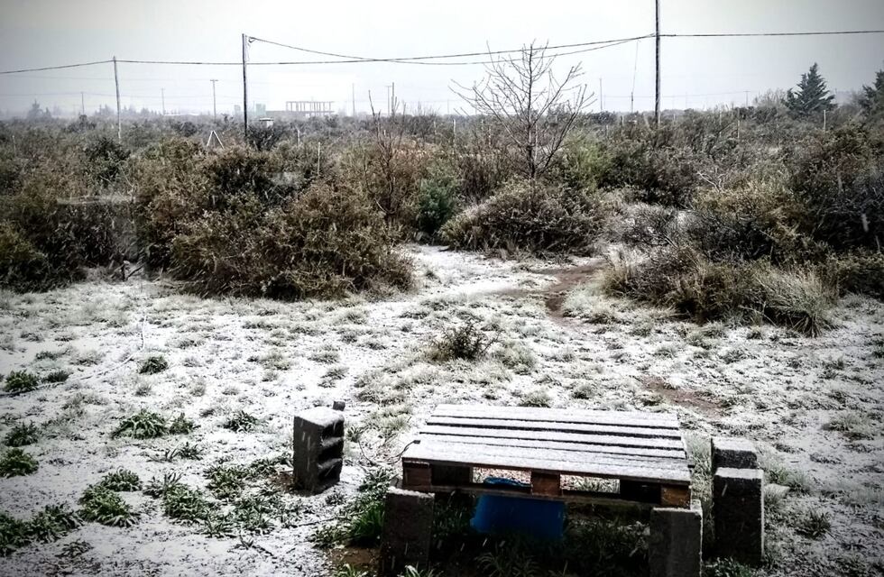La nieve dijo presente en Puerto Madryn, a días de la llegada de la primavera