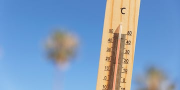 Alerta por lluvias y ola de calor en Buenos Aires: qué día será el más intenso.