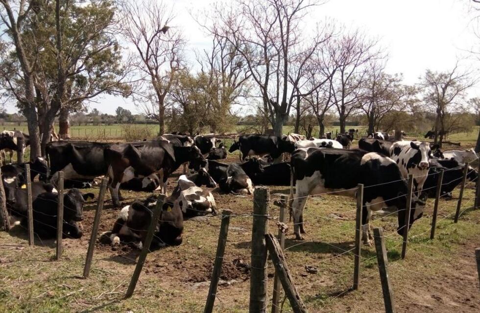 Proponen indicadores para evaluar calidad ambiental y de vida de productores agropecuarios en Corrientes