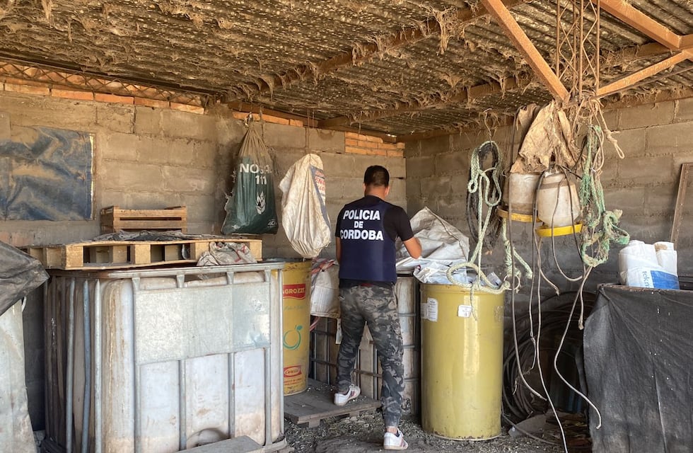 Tránsito: allanamientos con resultados positivos por un hecho de robo de semillas