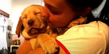 Sol Calvimonte reclama que Koda vuelva a su familia.