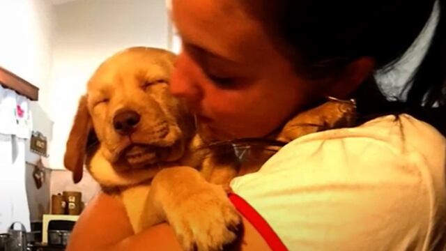 Sol Calvimonte reclama que Koda vuelva a su familia.