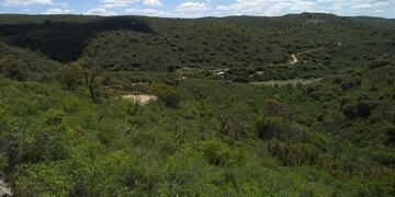 Los lotes cuentan con superficies que van desde aproximadamente los 450 m2 hasta más de 6.000 m2