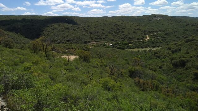 Los lotes cuentan con superficies que van desde aproximadamente los 450 m2 hasta más de 6.000 m2