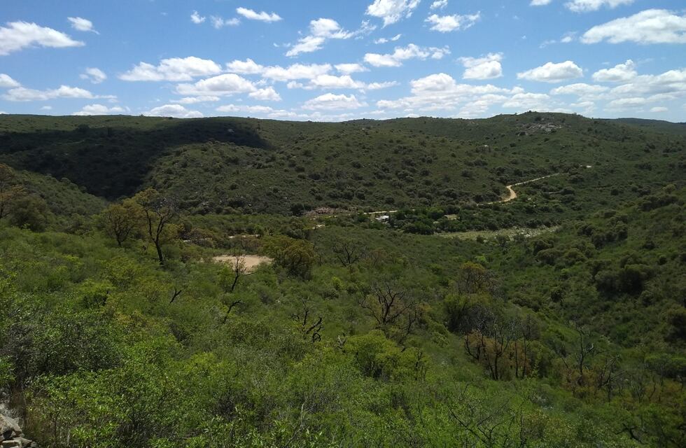 Preparan una subasta de terrenos en las sierras de Córdoba