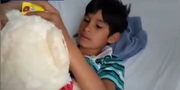 El nene de 9 años lleva una semana internado tras el ataque en Cavia al 1300.