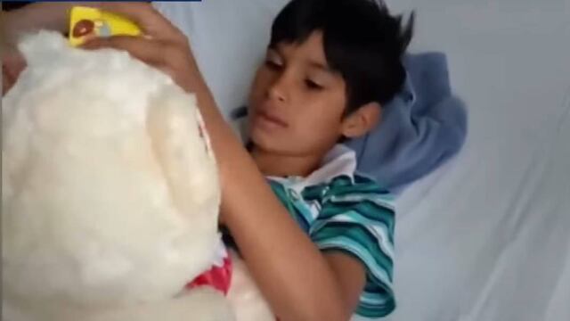 El nene de 9 años lleva una semana internado tras el ataque en Cavia al 1300.