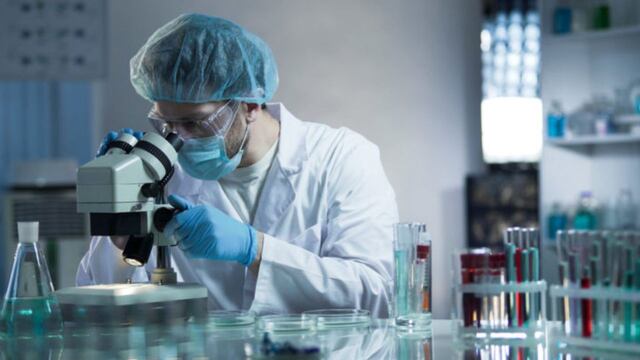 Científicos de Japón descubrieron una proteína fundamental que combate el envejecimiento.