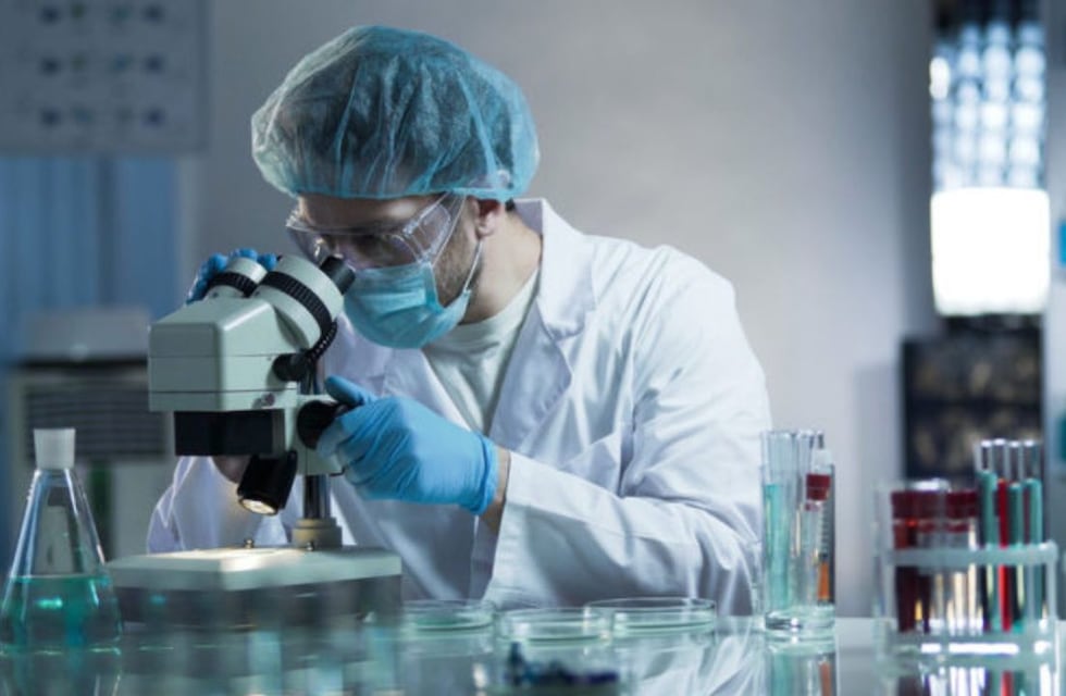 Increíble Hallazgo científico: descubrieron una proteína que podría prevenir el envejecimiento