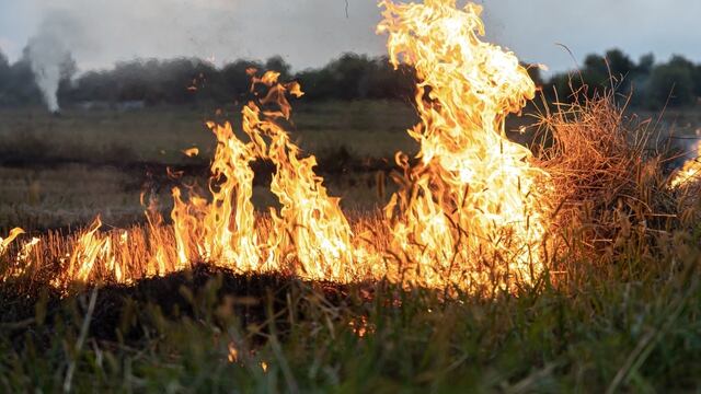 Cinco consejos para evitar fuego e incendios en Tandil