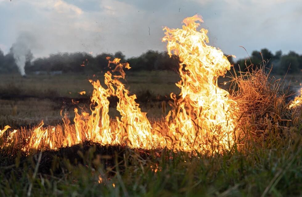 Recomendaciones para la prevención de incendios forestales