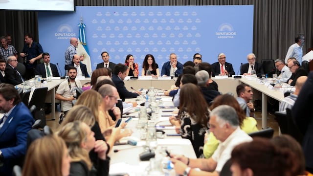 Encuentro con especialistas en rechazo al DNU 70/23 de Milei en la Cámara de Diputados (Foto: Unión por la Patria)