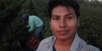 Alexis Valda, el mendocino que cosecha desde que era niño.