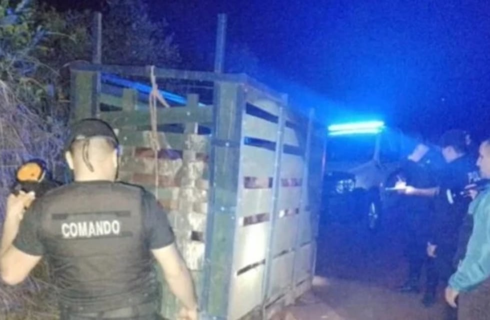 Frustran abigeato de vacunos en San Pedro