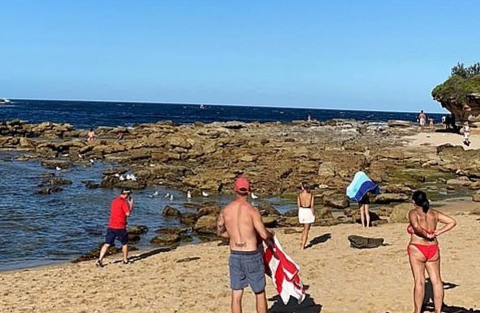 Australia: un nadador fue devorado por un tiburón y todo fue grabado por testigos