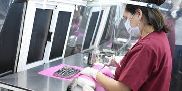 Quirófano Móvil donde se hacen castraciones en Rafaela