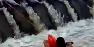 Guardavidas rescataron a un perro que era arrastrado por la creciente. (Foto: captura / Twitter Santiago Berioli).