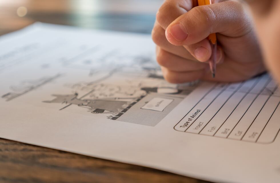 Los estudiantes salteños con algunas enfermedades respiratorias podrán no ir a la escuela