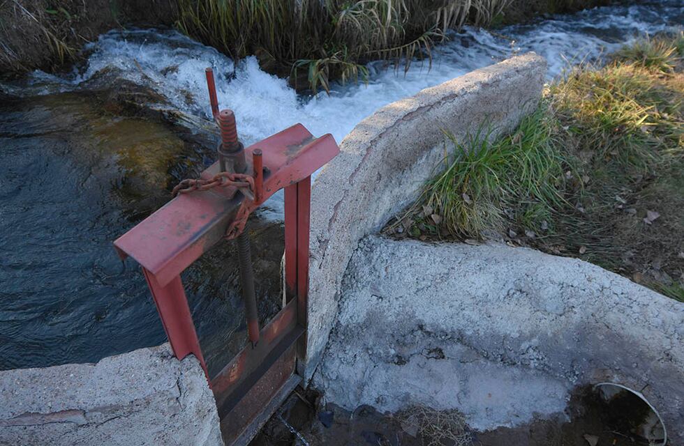 El cambio climático afecta a Mendoza con falta de agua para uso de riego