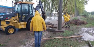 Este domingo precipitaron 83mm en el territorio alvearense.
