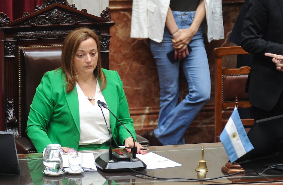 Magistratura: Cecilia Moreau apelará el fallo que impide la asunción de la diputada radical Roxana Reyes