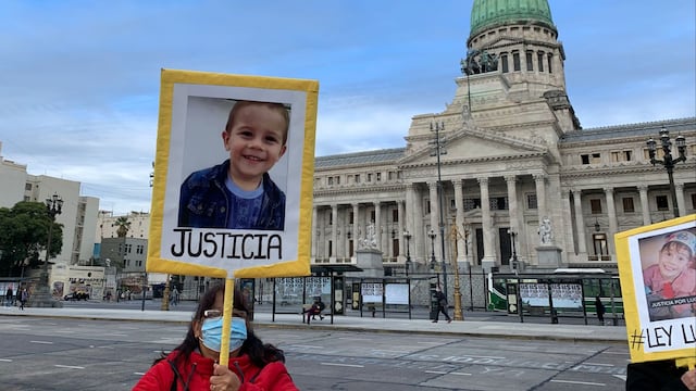 Ya se armaron las comisiones para que sea tratado el proyecto de la Ley Lucio.