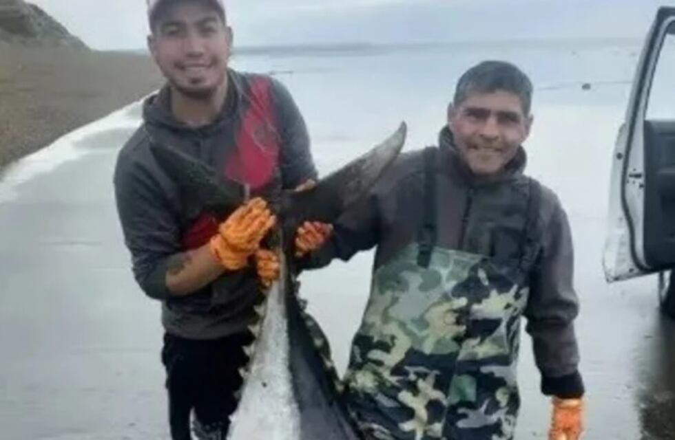 “No habíamos visto algo así en la zona”: dos hombres de Santa Cruz pescaron un atún de 250 kilos