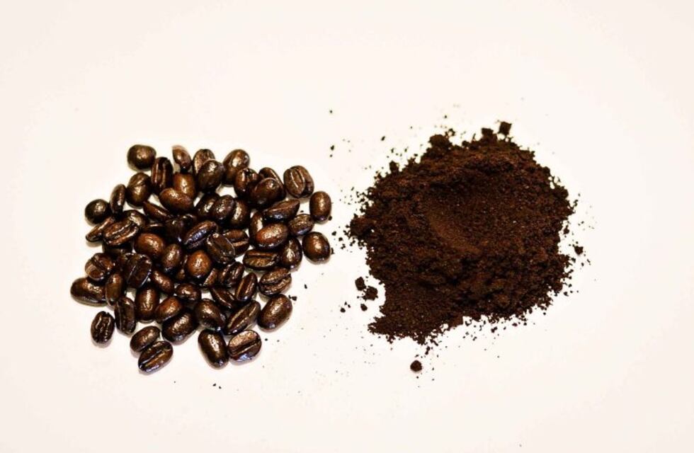 Buscan crear una bebida natural derivada de los bosques nativos de San Luis