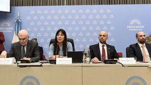 Debate sobre AR en Diputados: la privatización sigue estancada en el Congreso.