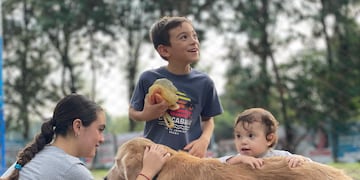 Tomi, rescatado en 2021 por la Fundación La Vidalita, es una pieza clave para los niños y niñas que acuden al centro.