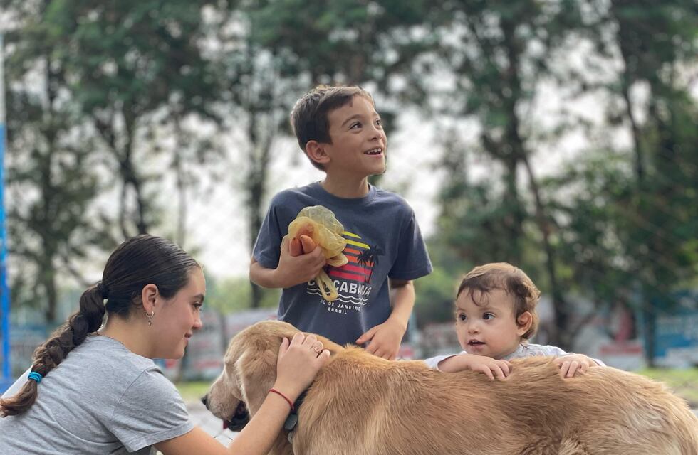 Día del Perro Guía: un compañero que transforma vidas