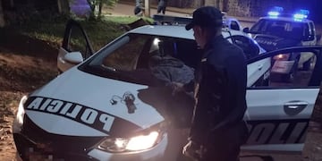 Eldorado: detienen a un individuo con alto prontuario delictivo por un nuevo hecho de robo.