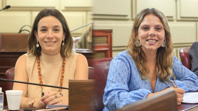 Lucila De Ponti y Gisel Mahmud presiden la Comisión de Mujeres, Género y Diversidad de la Cámara de Diputados