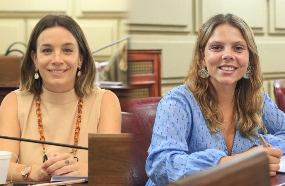 Una diputada rafaelina fue elegida como vice en la primera comisión de Género, Mujeres y Diversidades