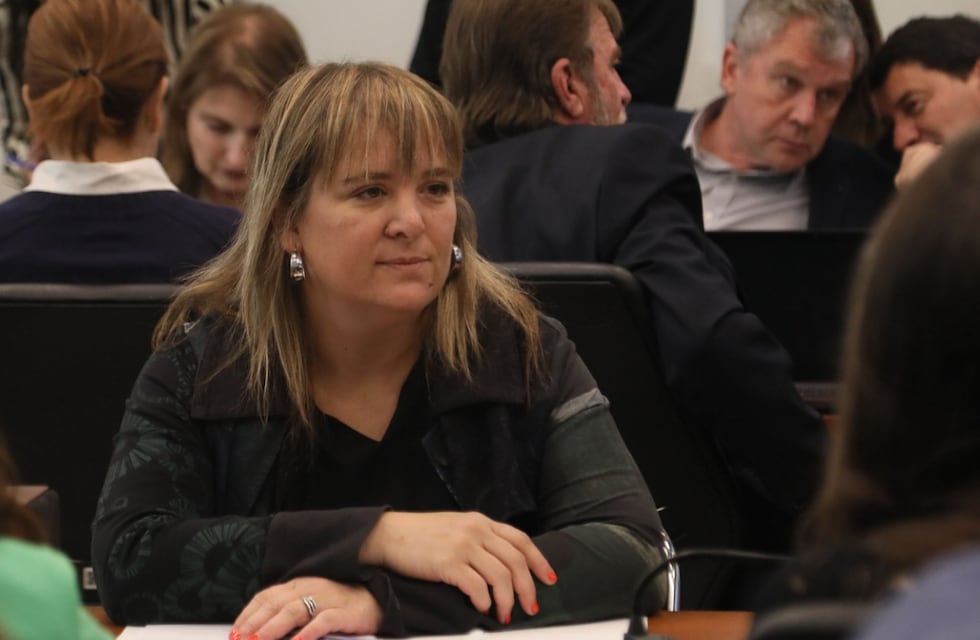 Eliminación de las PASO: otra diputada del oficialismo se opone a la derogación de las primarias