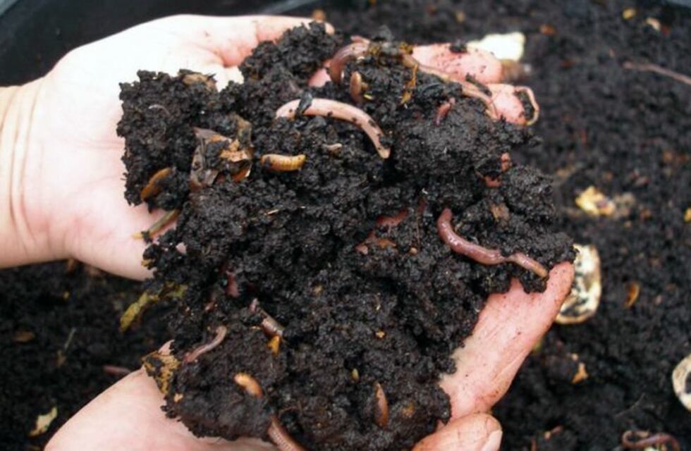 En el mes del compostaje aprendé a crear uno en casa