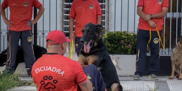 Demostración de División Canes.