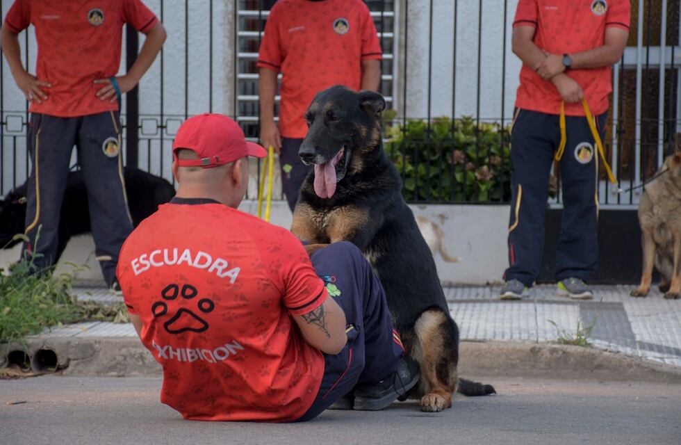 Vacaciones de invierno en Córdoba: exhibiciones de la Policía para disfrutar en familia