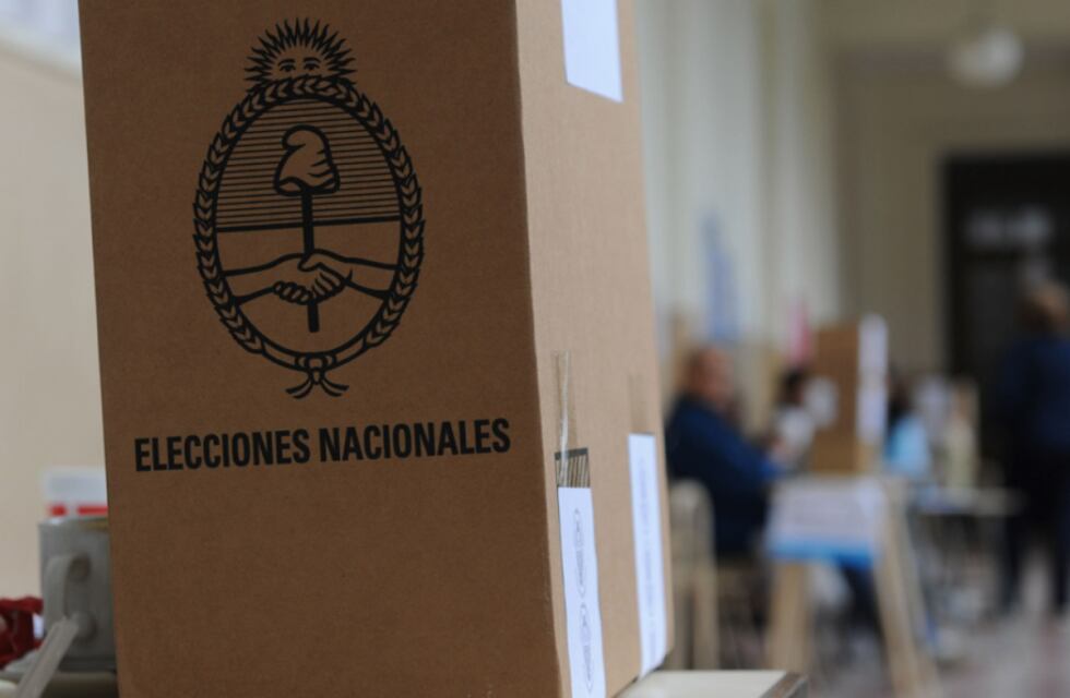 Unión por la Patria fue la fuerza que más votos sacó por parte de los extranjeros en la provincia de Buenos Aires