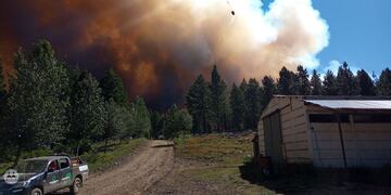Incendio forestal en la zona de Aluminé.